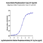 Human Alkaline Phosphatase (Germ type) /ALPG Protein BP003375 Syd Labs