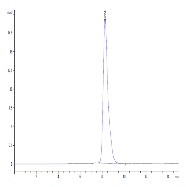 Human Alkaline Phosphatase (Germ type) /ALPG Protein (APE-HM203)