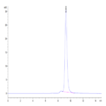 Mouse APOH Protein BP004639 Syd Labs