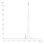 Mouse ANGPT2/Angiopoietin-2 Protein BP003992 Syd Labs