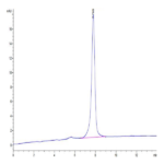 Mouse APLN Protein BP004913 Syd Labs
