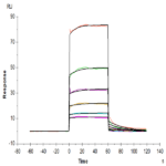 Human APOE3/Apolipoprotein E Protein BP005202 Syd Labs