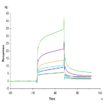 Biotinylated Human APOE3/Apolipoprotein E Protein BP005201 Syd Labs