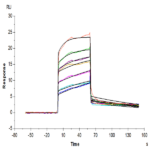 Human APOE3/Apolipoprotein E Protein BP003577 Syd Labs