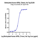 Biotinylated Human APRIL/TNFSF13 Trimer Protein BP003442 Syd Labs
