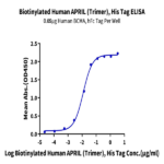 Biotinylated Human APRIL/TNFSF13 Trimer Protein BP003744 Syd Labs