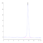 Mouse Activin RIIB/ACVR2B Protein Protein BP003414 Syd Labs