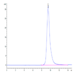 Human ASGR1 Protein BP003530 Syd Labs