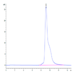Mouse ASGR1 Protein BP003538 Syd Labs