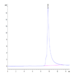 Human ASPH Protein BP004318 Syd Labs