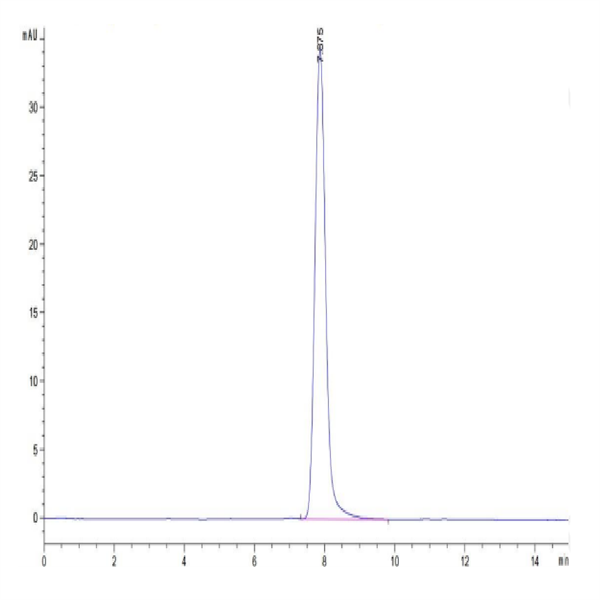 Human AXL Protein (AXL-HM101)