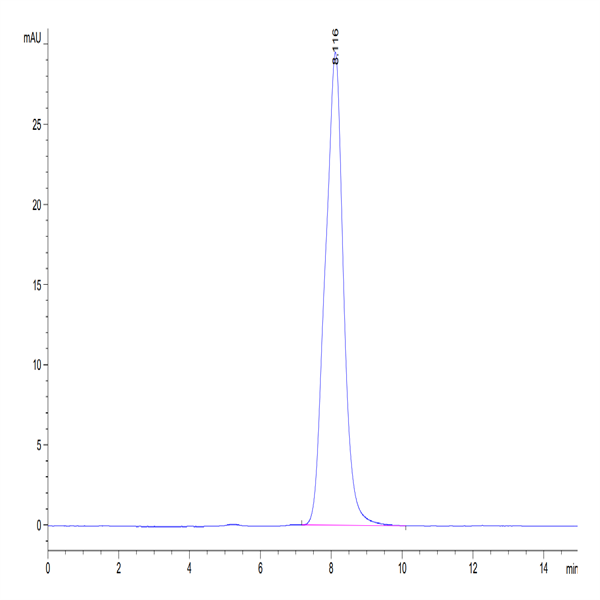 Mouse AXL Protein (AXL-MM101)