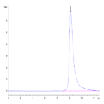 Human B2M/beta 2-Microglobulin Protein BP005118 Syd Labs