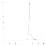 Mouse B2M/beta 2-Microglobulin Protein BP004717 Syd Labs