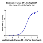 Biotinylated Human B7-1/CD80 Protein  BP005208 Syd Labs