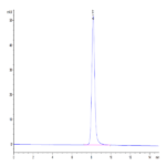 Mouse B7-1/CD80 Protein BP004948 Syd Labs