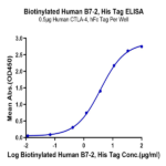 Biotinylated Human B7-2/CD86 Protein BP005657 Syd Labs