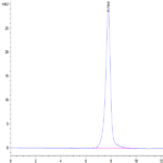 Human BACE-1 Protein BP004360 Syd Labs