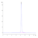 Mouse BACE-1 Protein BP004140 Syd Labs