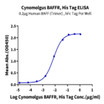 Cynomolgus BAFFR/TNFRSF13C Protein BP005289 Syd Labs