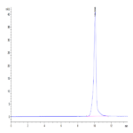 Human BAMBI Protein BP004723 Syd Labs
