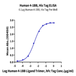 Human 4-1BB/TNFRSF9 Protein BP005297 Syd Labs