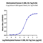 Biotinylated Human 4-1BB/TNFRSF9 Protein BP005472 Syd Labs