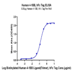 Human 4-1BB/TNFRSF9 Protein BP005227 Syd Labs