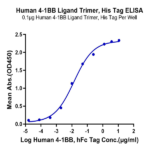 Human 4-1BB Ligand/TNFSF9 Trimer Protein BP005435 Syd Labs
