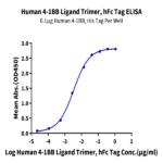 Human 4-1BB Ligand/TNFSF9 Trimer Protein BP005298 Syd Labs