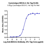 Cynomolgus BDCA-2 Protein BP003554 Syd Labs