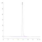 Cynomolgus BCAM Protein BP003815 Syd Labs