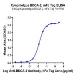 Cynomolgus BDCA-2 Protein BP003535 Syd Labs