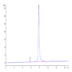 Human BCAM Protein BP003816 Syd Labs