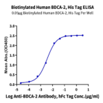 Biotinylated Human BDCA-2 Protein BP003505 Syd Labs
