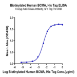 Biotinylated Human BCMA/TNFRSF17 Protein BP005689 Syd Labs