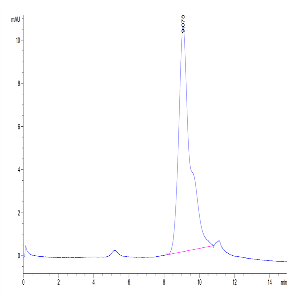 Biotinylated Human BCMA/TNFRSF17 Protein (BCM-HM117B)