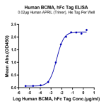 Human BCMA/TNFRSF17 Protein BP005308 Syd Labs