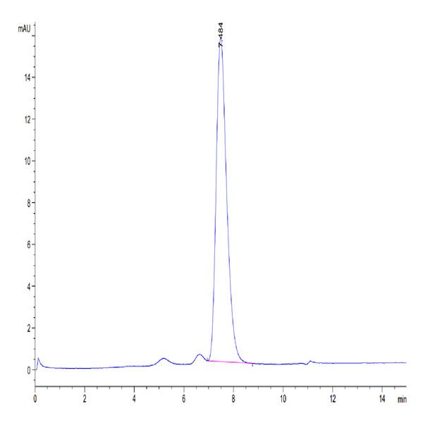 Human BCMA/TNFRSF17 Protein (BCM-HM217)