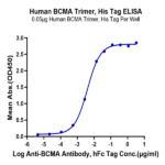 Human BCMA/TNFRSF17 Trimer Protein BP005688 Syd Labs