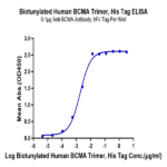 Biotinylated Human BCMA/TNFRSF17 Trimer Protein BP005469 Syd Labs