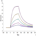 Mouse BCMA/TNFRSF17 Protein BP005380 Syd Labs
