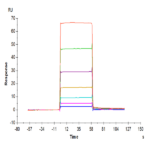 Mouse BCMA/TNFRSF17 Protein BP005381 Syd Labs