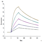 Cynomolgus B7-H7/HHLA2 Protein BP003418 Syd Labs