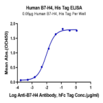 Human B7-H4 Protein BP005304 Syd Labs