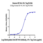 Human B7-H4 Protein BP005113 Syd Labs