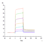 Human B7-H6/NCR3LG1 Protein BP005141 Syd Labs
