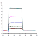 Human B7-H7/HHLA2 Protein BP004361 Syd Labs