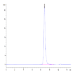 Mouse B7-H5/Gi24/VISTA Protein BP004240 Syd Labs