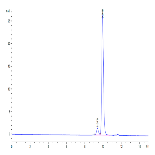Mouse BID Protein (BID-ME101)